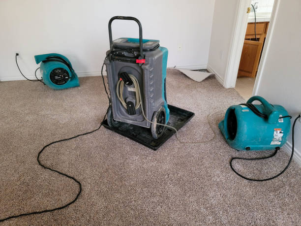  Ridgeland, MS Water damage restoration Pros