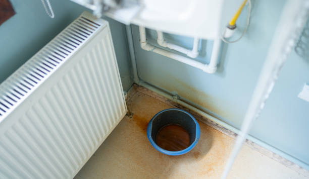 Best Water damage contractors near me  in Ridgeland, MS